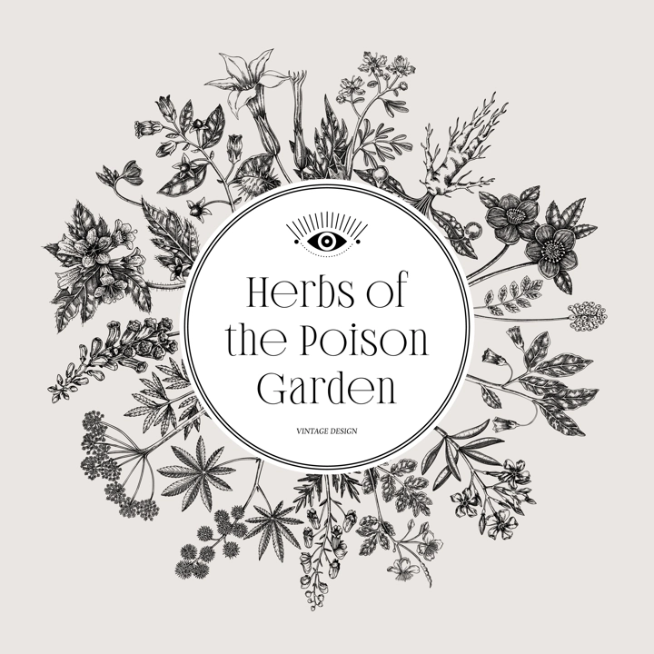 Witchcraft frame design. Poisonous plants hand drawn vector illustration. Witch herbs apothecary vintage card, invitation, print. NOT AI generated